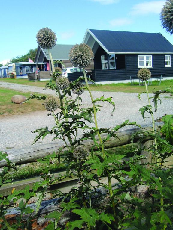 Toftum Bjerge Camping & Cottages Humlum Cameră foto